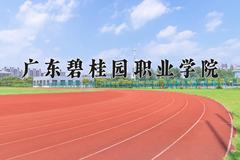 广东碧桂园职业学院近三年录取分数线及位次：四川2022-2024最低分