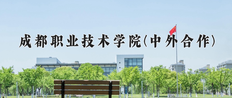 成都职业技术学院(中外合作)近三年录取分数线及位次:四川2022-2024最低分