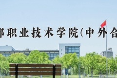 成都职业技术学院(中外合作)近三年录取分数线及位次：四川2022-2024最低分