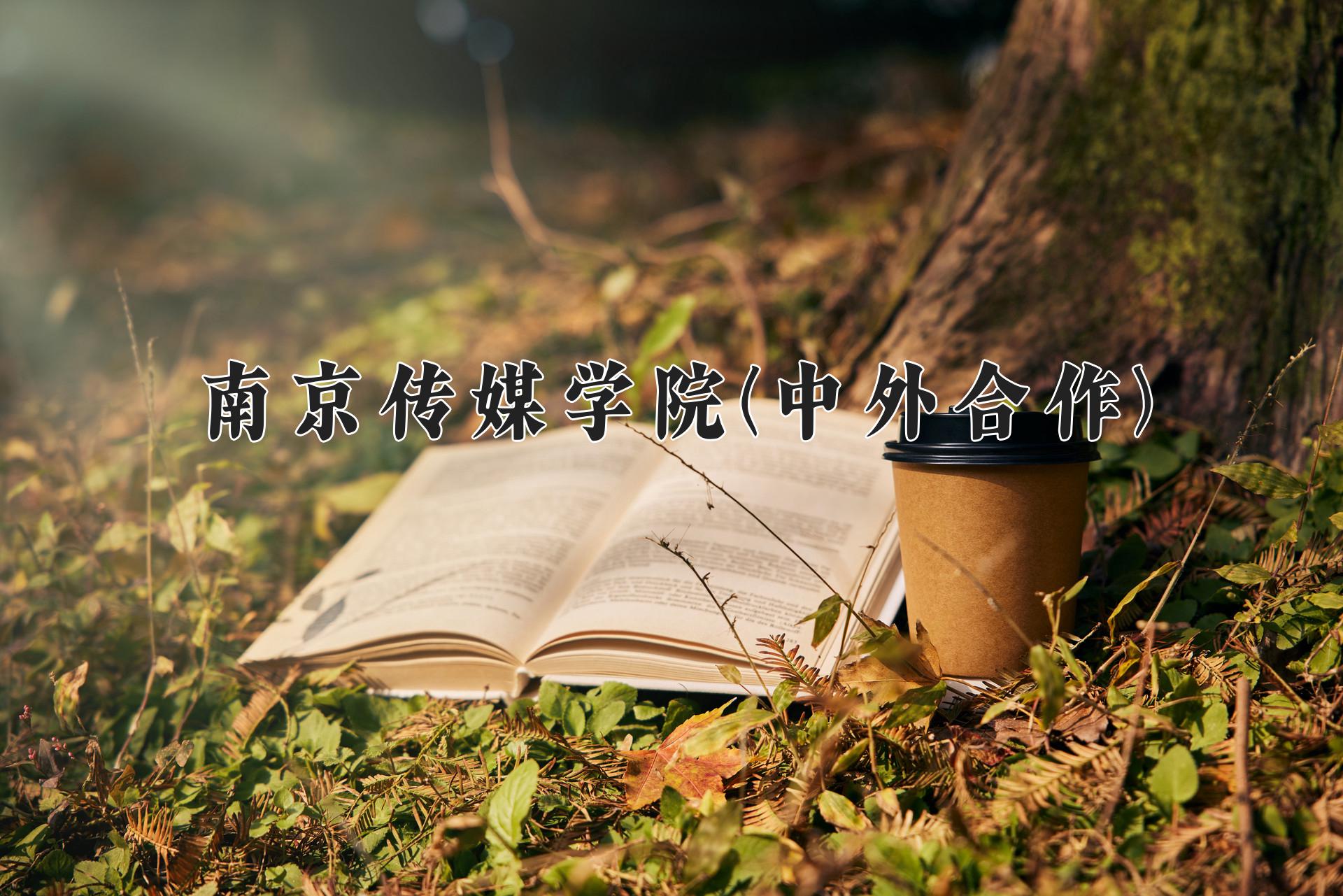 南京传媒学院(中外合作)近三年录取分数线及位次：四川2022-2024最低分