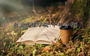 南京传媒学院(中外合作)近三年录取分数线及位次：四川2022-2024最低分