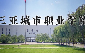 2024年三亚城市职业学院录取分数线，内蒙古最低181分