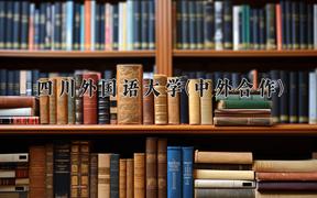 四川外国语大学(中外合作)近三年录取分数线及位次：四川2022-2024最低分