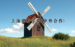 上海建桥学院(中外合作)近三年录取分数线及位次：四川2022-2024最低分