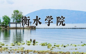 衡水学院近三年录取分数线及位次：四川2022-2024最低分