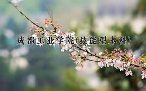 成都工业学院(技能型本科)近三年录取分数线及位次：四川2022-2024最低分