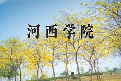 河西学院近三年录取分数线及位次：四川2022-2024最低分