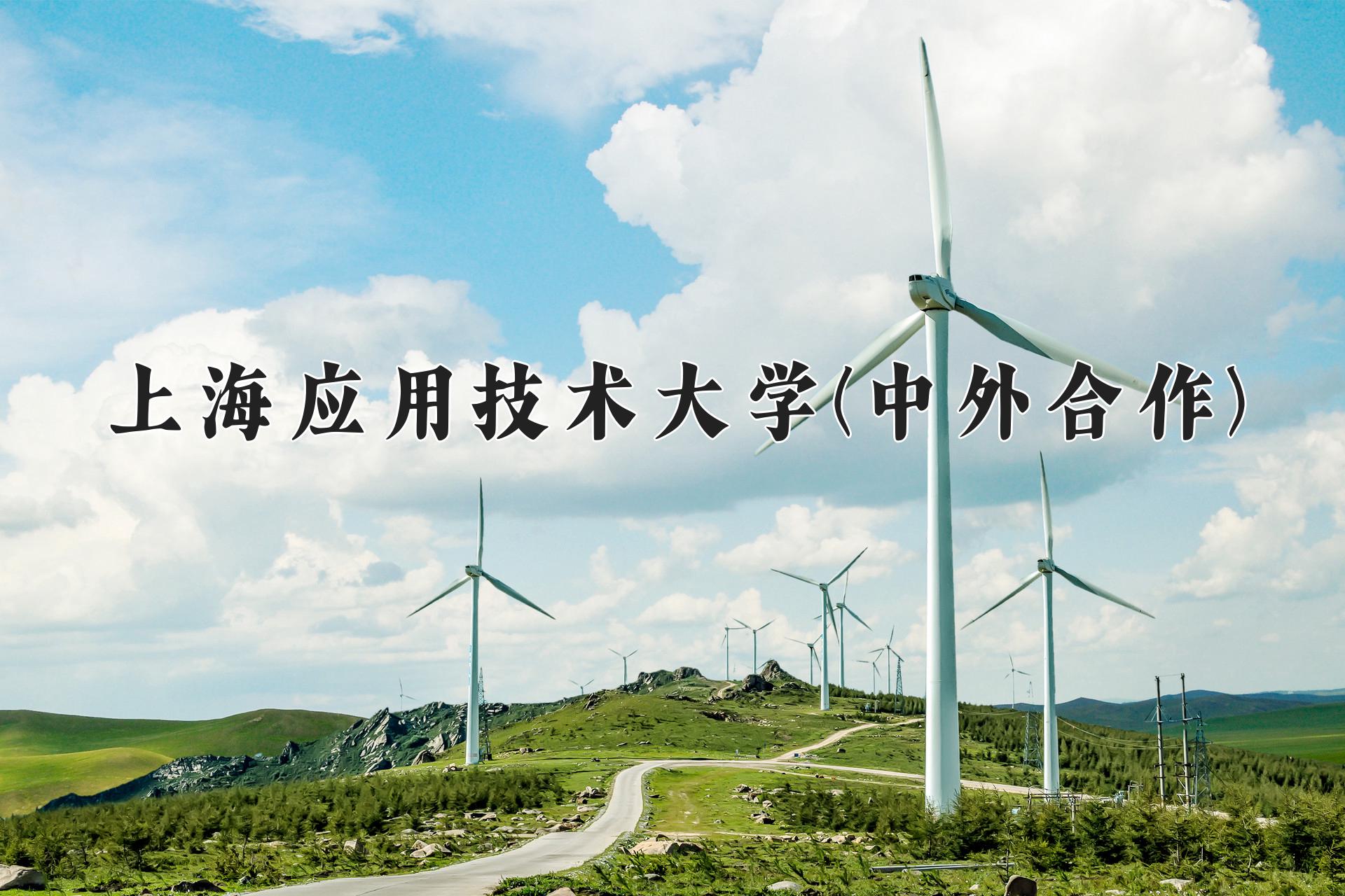 上海应用技术大学(中外合作)近三年录取分数线及位次:四川2022-2024最低分
