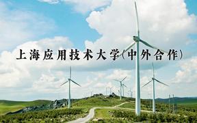 上海应用技术大学(中外合作)近三年录取分数线及位次：四川2022-2024最低分