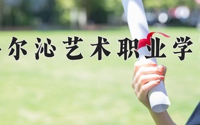 2024年科尔沁艺术职业学院录取分数线，内蒙古最低216分