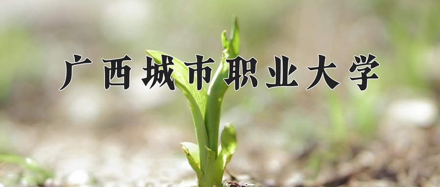 广西城市职业大学近三年录取分数线及位次:四川2022-2024最低分