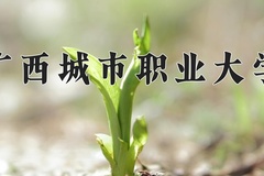广西城市职业大学近三年录取分数线及位次：四川2022-2024最低分