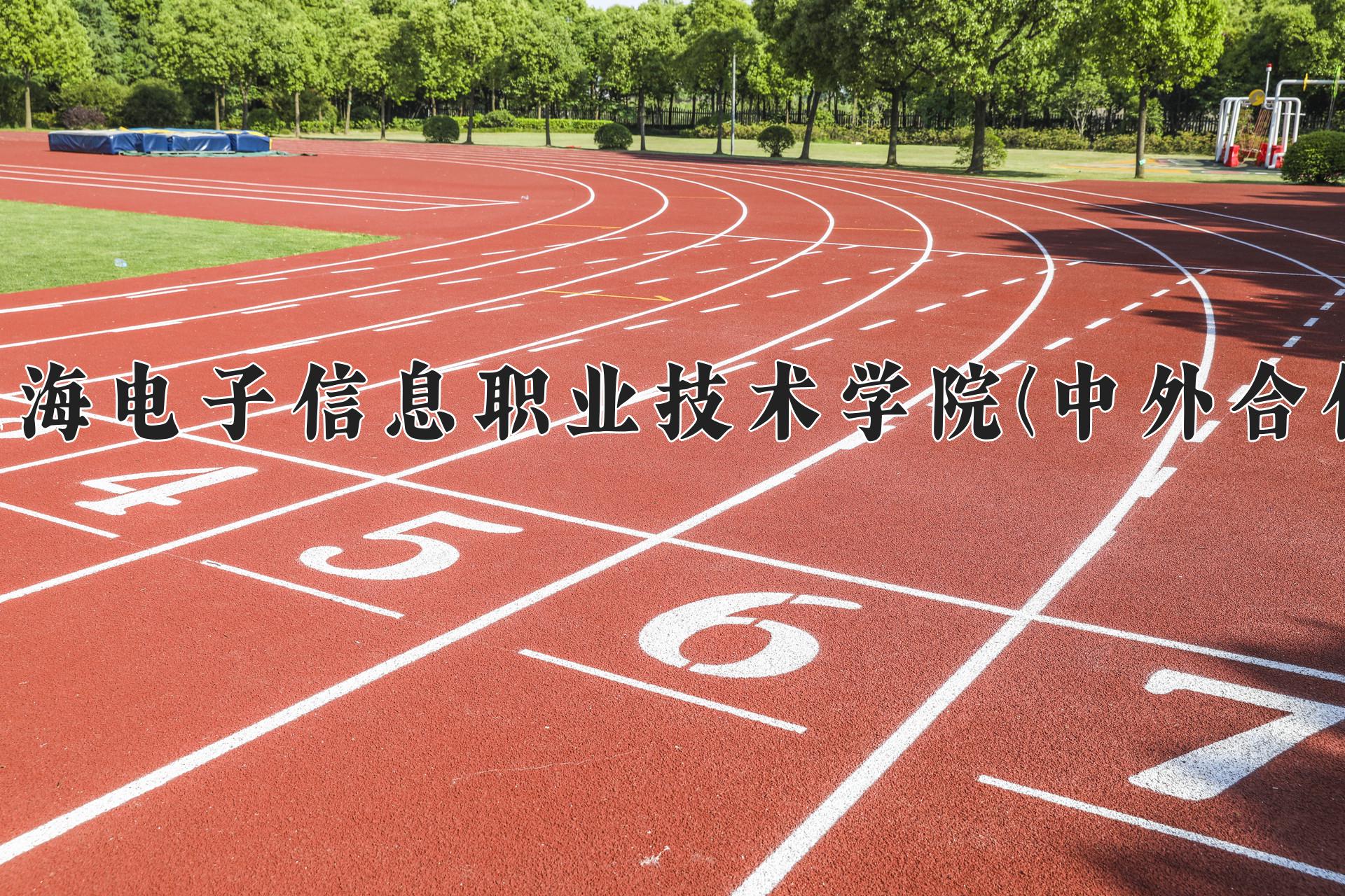 上海电子信息职业技术学院(中外合作)近三年录取分数线及位次：四川2022-2024最低分