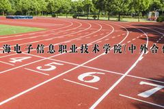 上海电子信息职业技术学院(中外合作)近三年录取分数线及位次：四川2022-2024最低分
