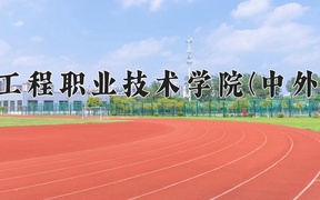 重庆工程职业技术学院(中外合作)近三年录取分数线及位次：四川2022-2024最低分