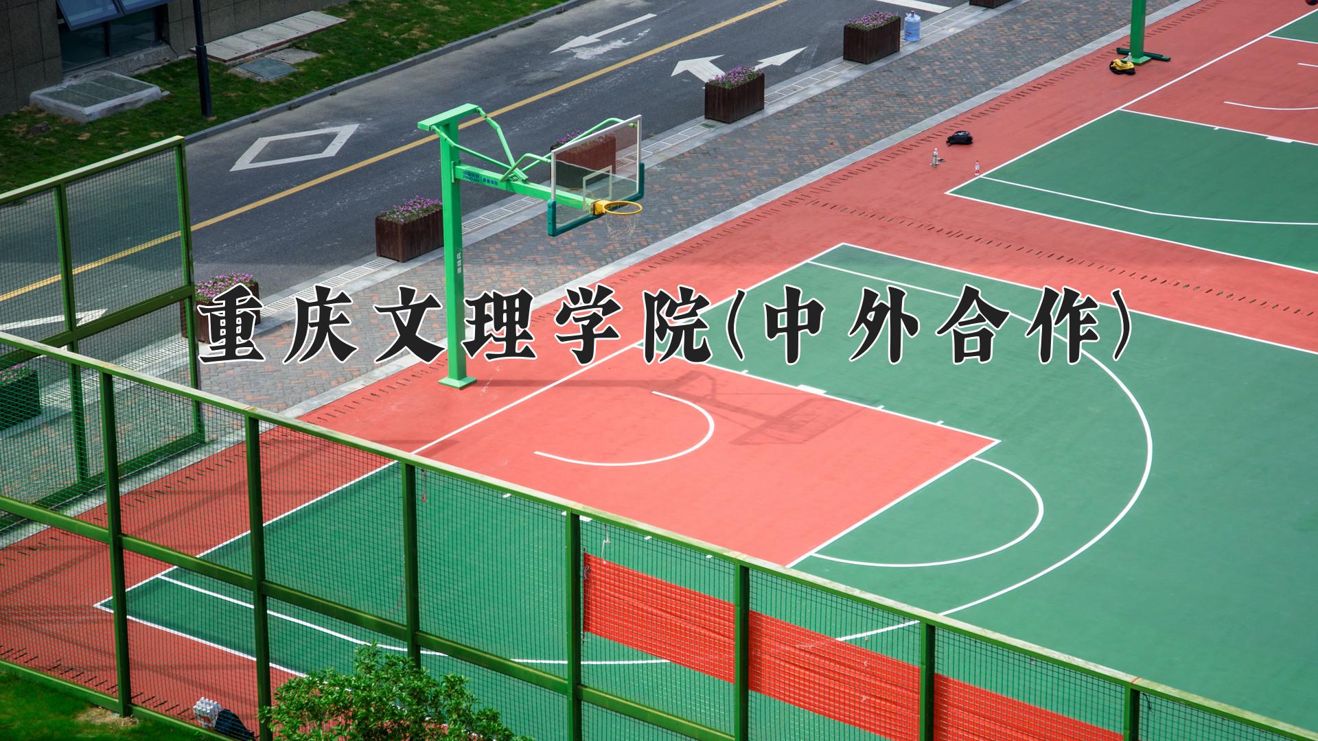 重庆文理学院(中外合作)近三年录取分数线及位次:四川2022-2024最低分