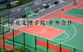 重庆文理学院(中外合作)近三年录取分数线及位次：四川2022-2024最低分