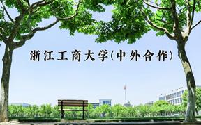 浙江工商大学(中外合作)近三年录取分数线及位次：四川2022-2024最低分