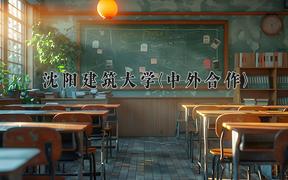 沈阳建筑大学(中外合作)近三年录取分数线及位次：四川2022-2024最低分