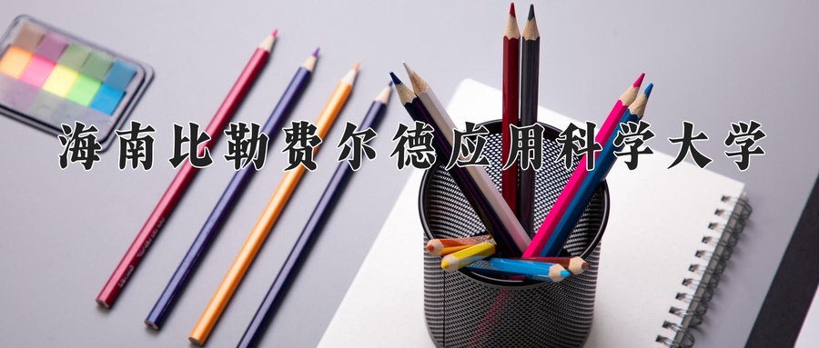 海南比勒费尔德应用科学大学