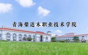 青海柴达木职业技术学院近三年录取分数线及位次：四川2022-2024最低分
