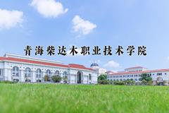 青海柴达木职业技术学院近三年录取分数线及位次：四川2022-2024最低分