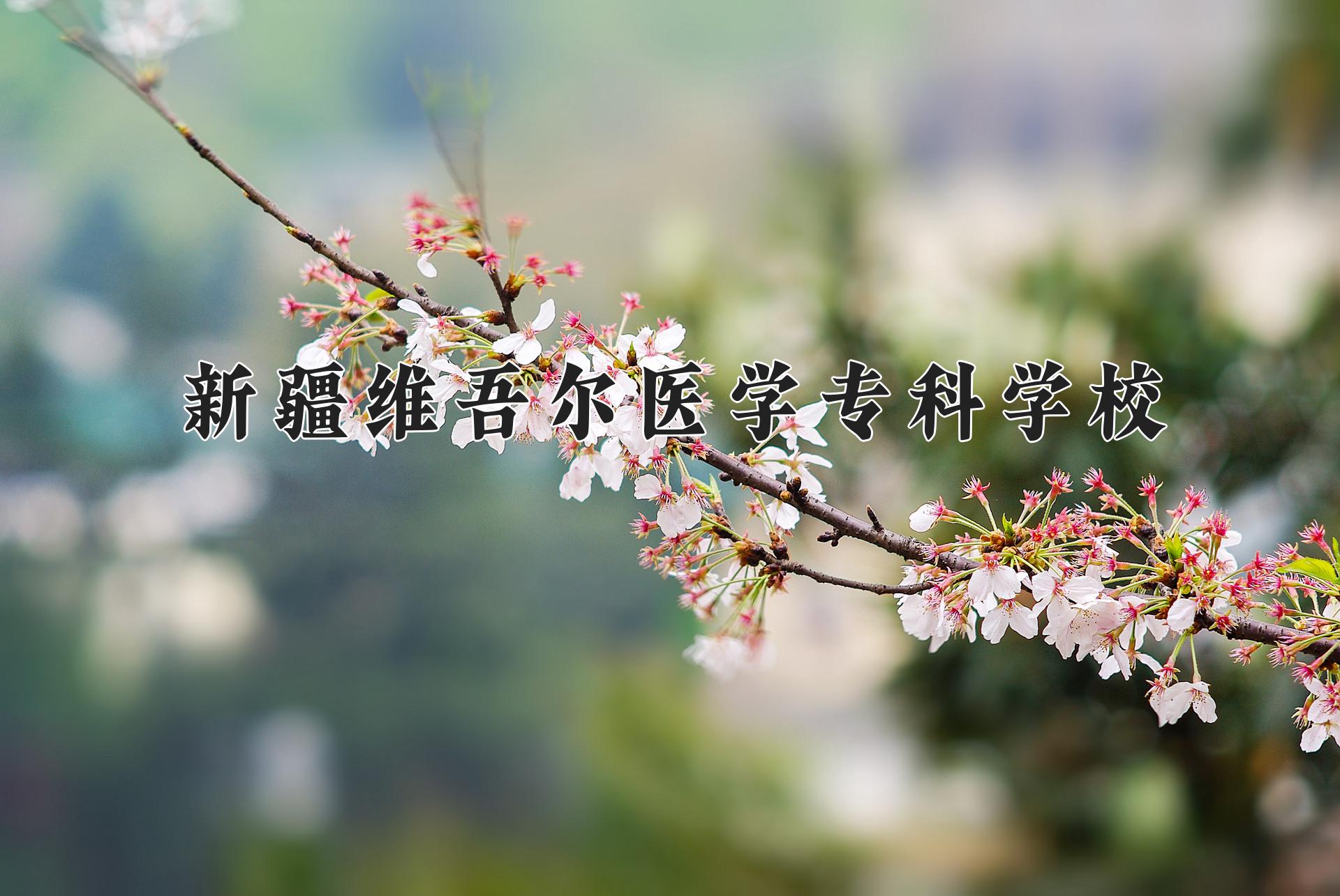 新疆维吾尔医学专科学校近三年录取分数线及位次:四川2022-2024最低分