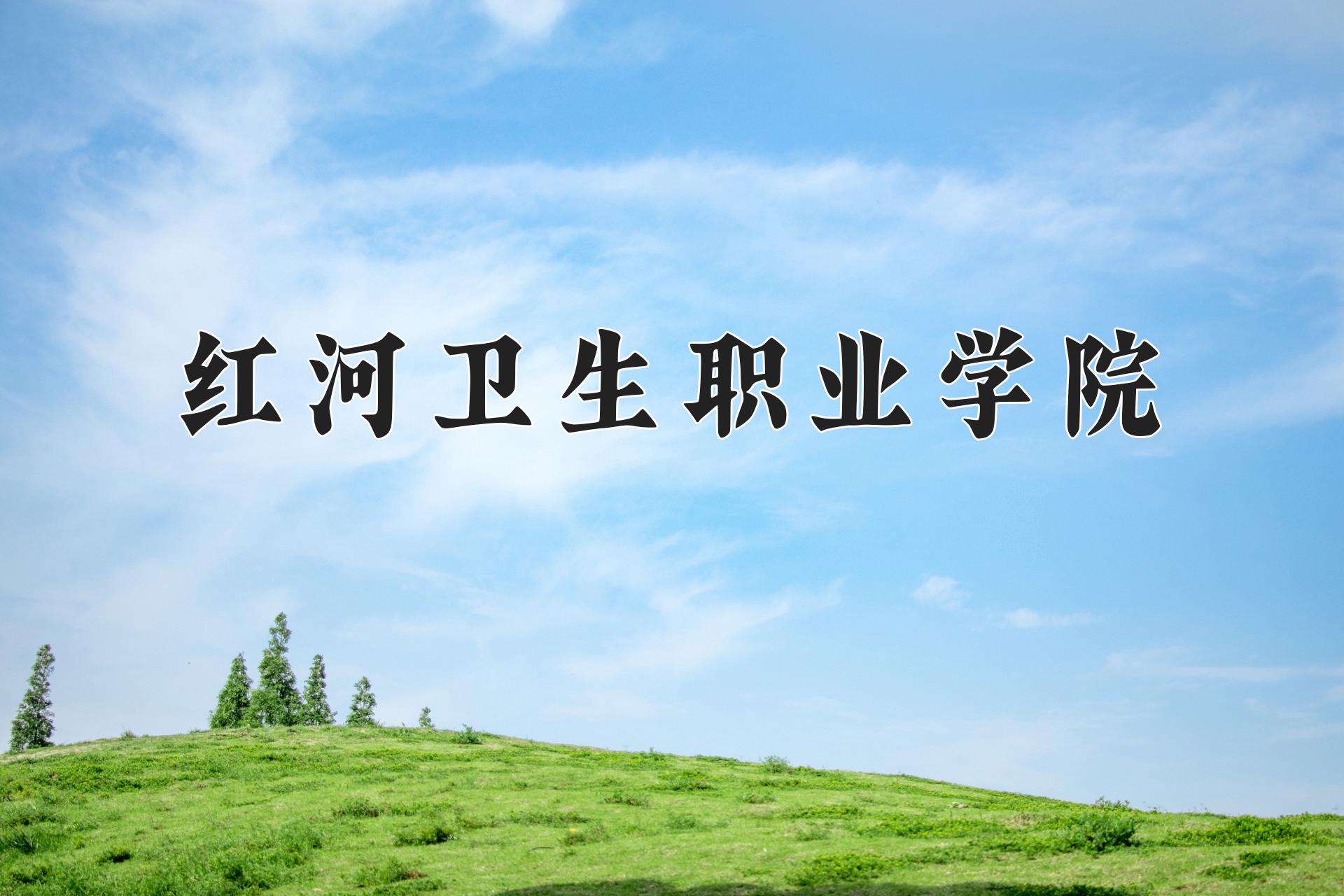 红河卫生职业学院近三年录取分数线及位次:四川2022-2024最低分