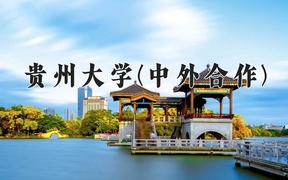2024年贵州大学(中外合作)录取分数线，内蒙古最低501分