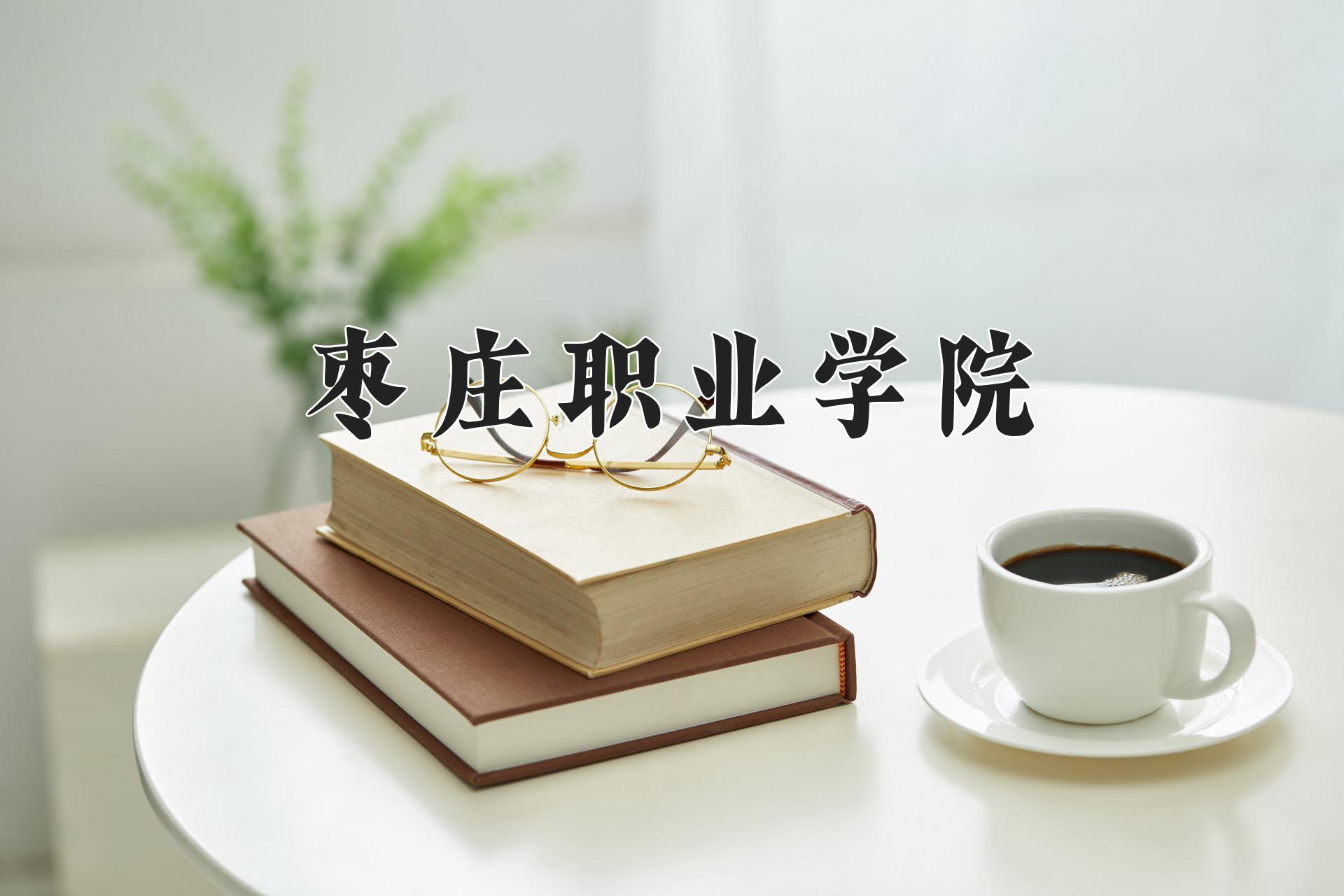 枣庄职业学院近三年录取分数线及位次:四川2022-2024最低分