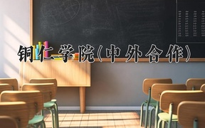 铜仁学院(中外合作)近三年录取分数线及位次：四川2022-2024最低分
