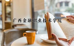 广西金融职业技术学院近三年录取分数线及位次：四川2022-2024最低分