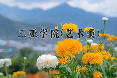 三亚学院(艺术类)近三年录取分数线及位次：四川2022-2024最低分