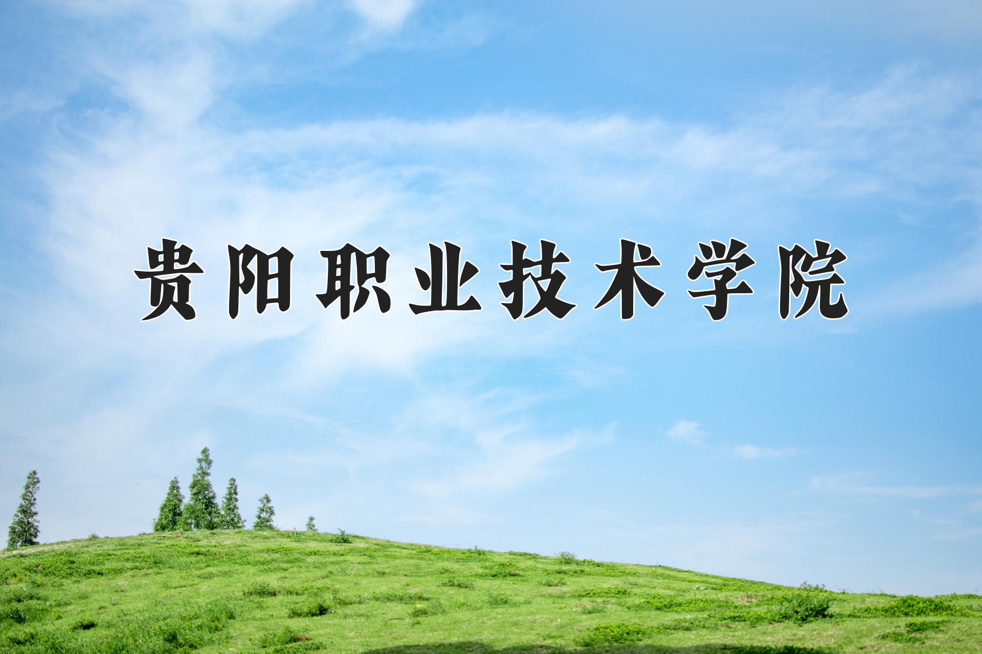 贵阳职业技术学院近三年录取分数线及位次:四川2022-2024最低分