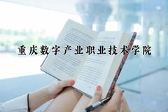 重庆数字产业职业技术学院近三年录取分数线及位次：四川2022-2024最低分
