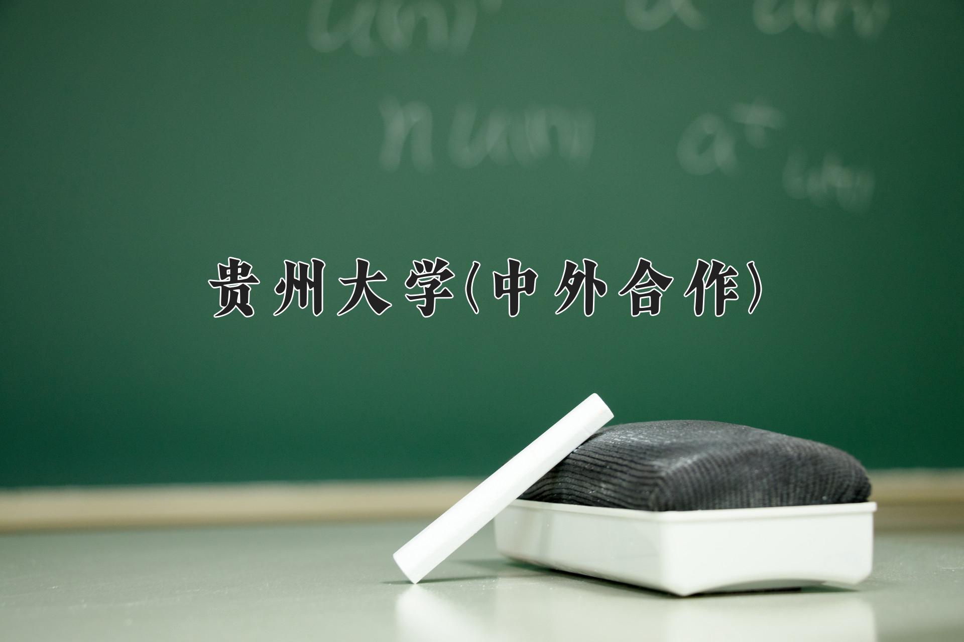贵州大学(中外合作)近三年录取分数线及位次:四川2022-2024最低分
