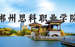 郴州思科职业学院近三年录取分数线及位次：四川2022-2024最低分