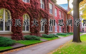 广西民族大学相思湖学院近三年录取分数线及位次：四川2022-2024最低分