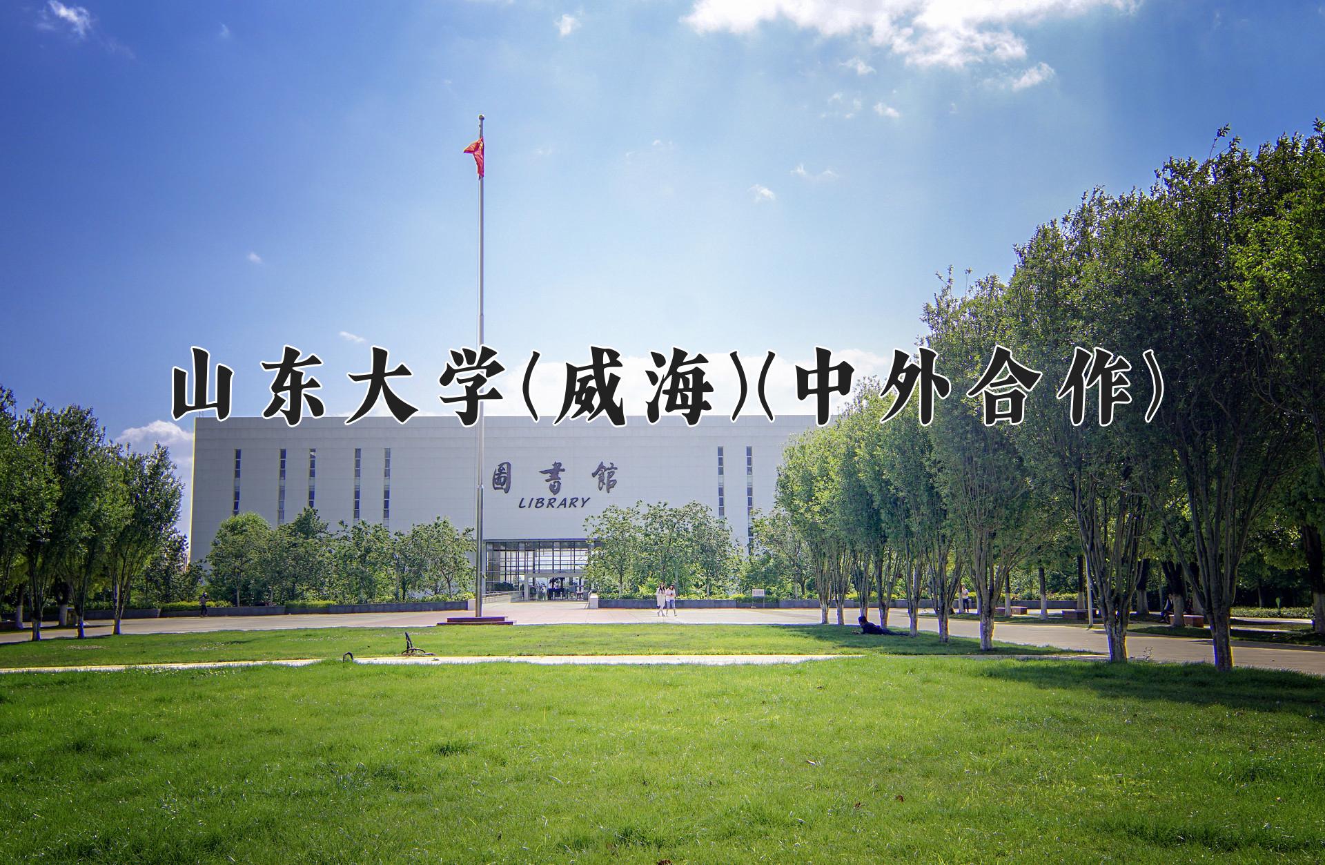 山东大学(威海)(中外合作)近三年录取分数线及位次:四川2022-2024最低分
