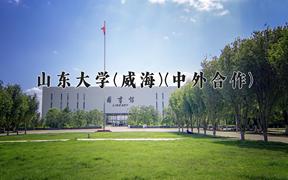 山东大学(威海)(中外合作)近三年录取分数线及位次：四川2022-2024最低分