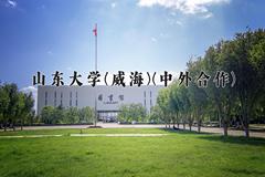 山东大学(威海)(中外合作)近三年录取分数线及位次：四川2022-2024最低分
