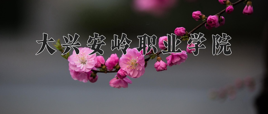 大兴安岭职业学院近三年录取分数线及位次:四川2022-2024最低分