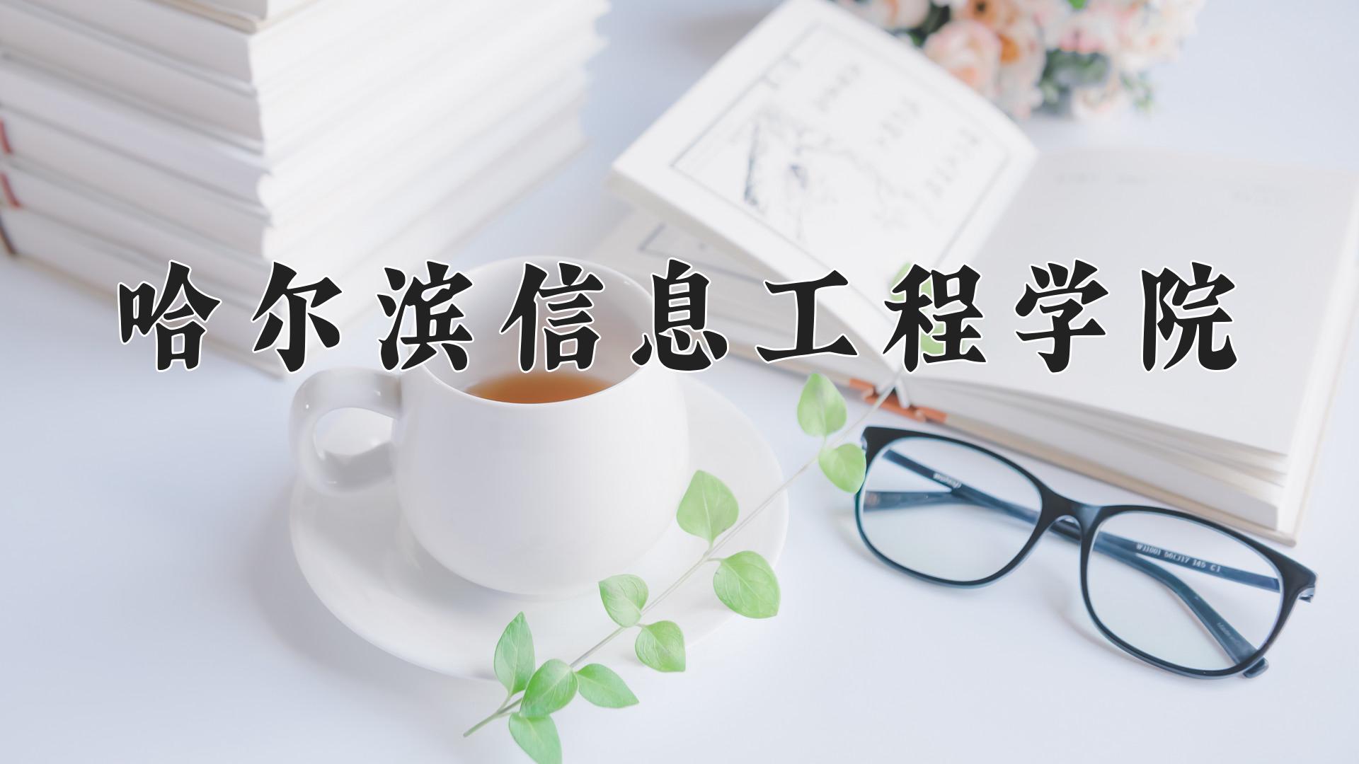哈尔滨信息工程学院近三年录取分数线及位次:四川2022-2024最低分