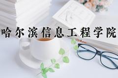 哈尔滨信息工程学院近三年录取分数线及位次：四川2022-2024最低分