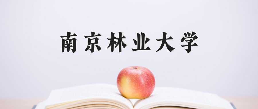 家具设计与工程专业学费多少钱一年？附重庆2024年招生的大学