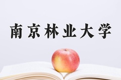 家具设计与工程专业学费多少钱一年？附重庆2024年招生的大学