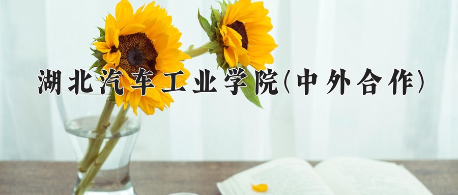 湖北汽车工业学院(中外合作)近三年录取分数线及位次:陕西2022-2024最低分