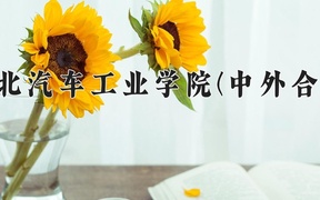 湖北汽车工业学院(中外合作)近三年录取分数线及位次：陕西2022-2024最低分
