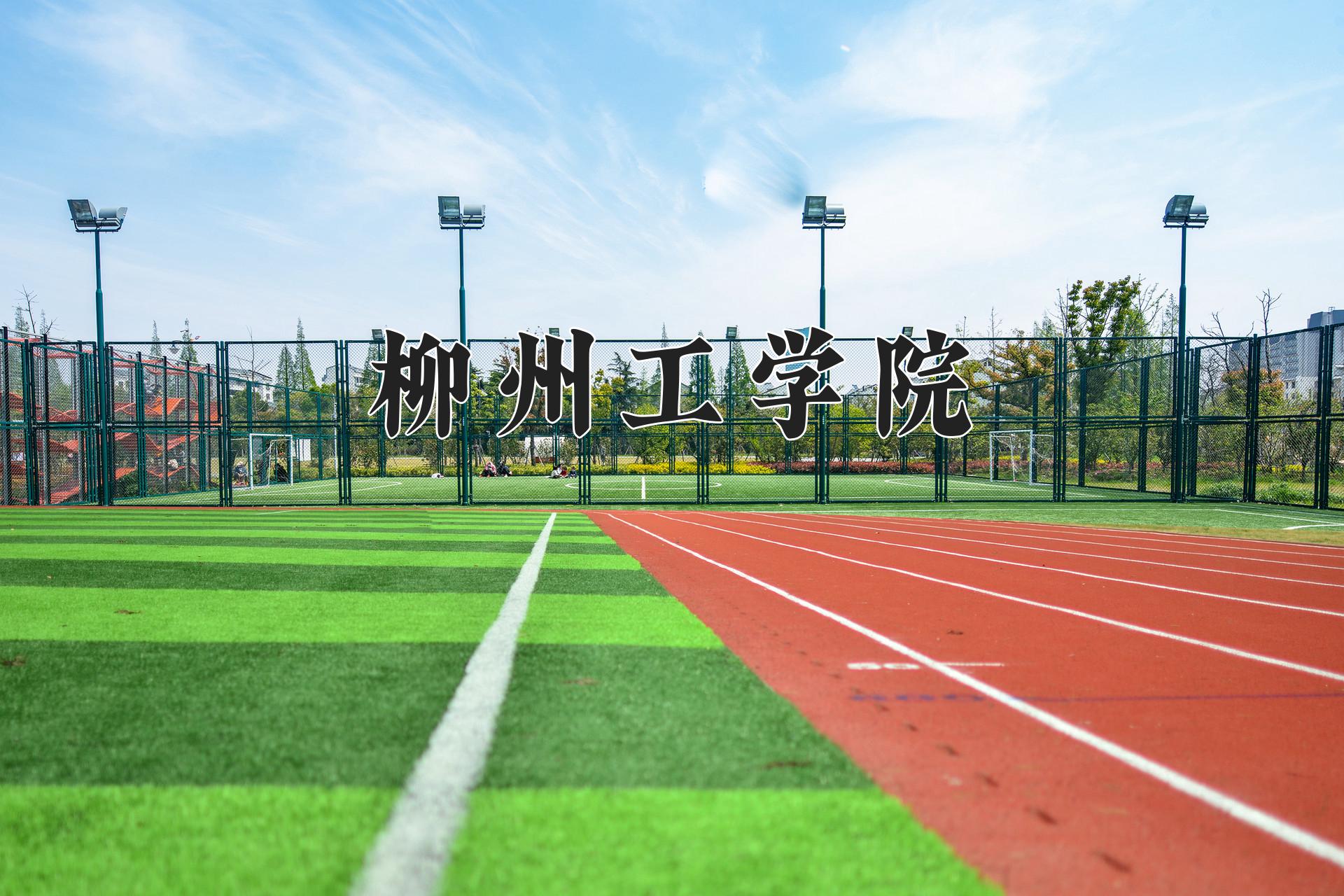 柳州工学院近三年录取分数线及位次：陕西2022-2024最低分