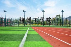 柳州工学院近三年录取分数线及位次：陕西2022-2024最低分